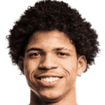 player-logo