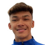 player-logo