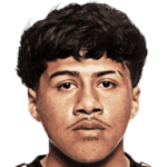 player-logo