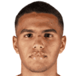 player-logo