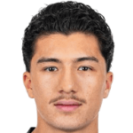 player-logo