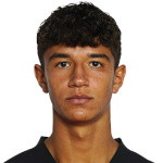 player-logo