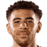 player-logo
