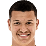 player-logo