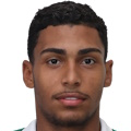 player-logo