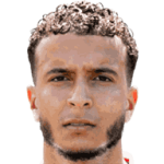 player-logo