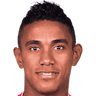 player-logo
