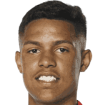 player-logo