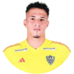 player-logo