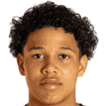 player-logo
