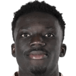 player-logo