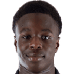 player-logo