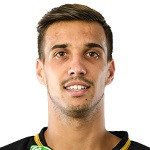 player-logo