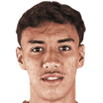 player-logo