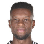 player-logo