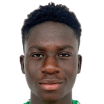 player-logo