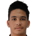 player-logo