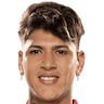 player-logo
