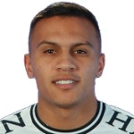 player-logo