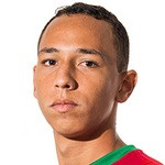 player-logo