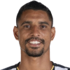 player-logo