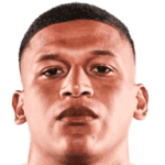 player-logo