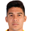 player-logo