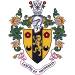 Брайхаус Таун team logo