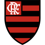 Фламенго (женщины) team logo