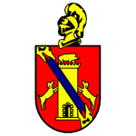 Эль Пальмар team logo