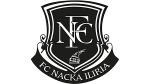 ФК Накка Илирия team logo