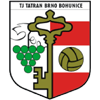ТЙ Татран Богунице