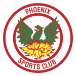 Феникс Спортс team logo