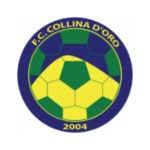 Коллина д'Оро team logo