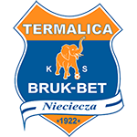 Нецеча team logo