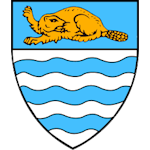 team-logo-background