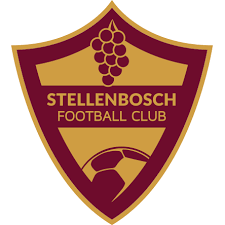 Стелленбош team logo