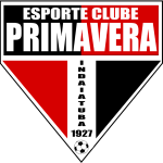 transfer-team-logo