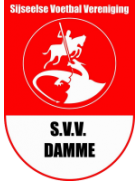 Дамме team logo