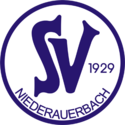 Цвайбрюккен team logo