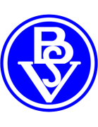 Бремер СВ team logo