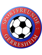 Пфеддерсхайм team logo