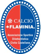 transfer-team-logo