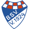 Бринкумер СВ team logo