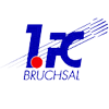Брухзаль team logo