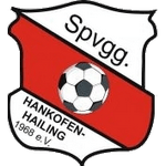 Ханкёфен-Хайлинг team logo