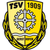Герстхофен team logo