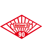 Малховер СФ team logo