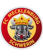 Мекленбург Шверин team logo