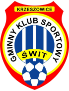 Сталь Ржешув team logo
